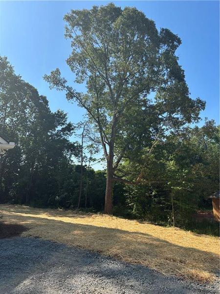 Natural landscape and outdoor views near  in Dahlonega (Image 9).