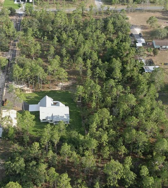 Natural landscape and outdoor views near in Weeki Wachee (Image 60). Natural landscape and outdoor views near in Weeki Wachee (Image 60).