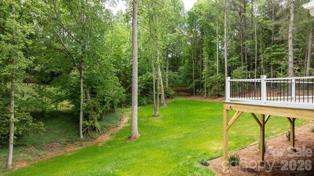 Natural landscape and outdoor views near  in Granite Falls (Image 43).