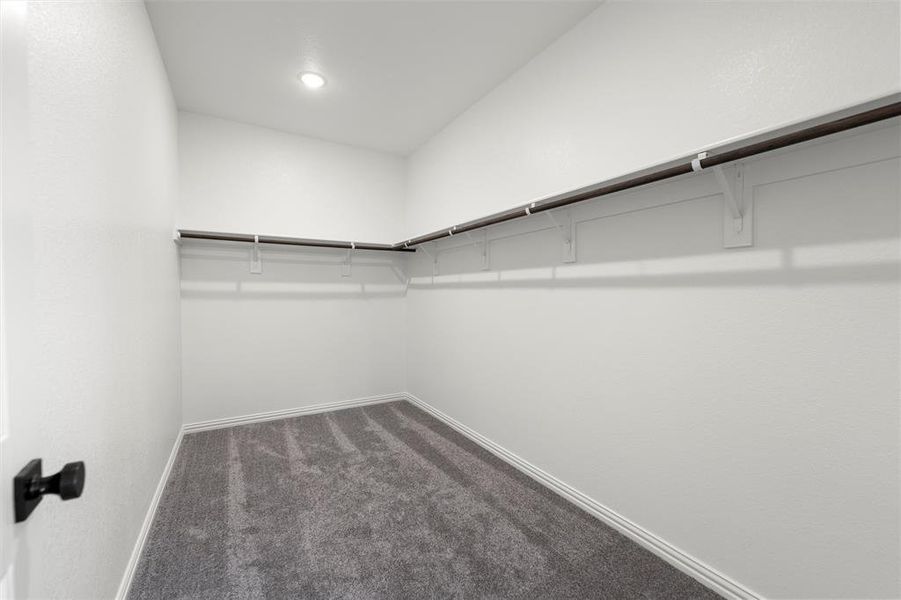 Spacious closet with dark carpet Spacious closet with dark carpet