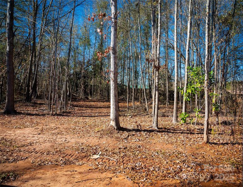 Natural landscape and outdoor views near in Forest City (Image 27). Natural landscape and outdoor views near in Forest City (Image 27).