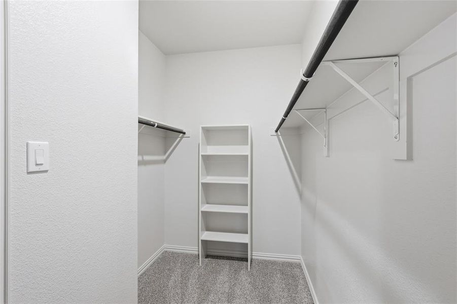 Walk-in closet featuring carpet flooring, built-in shelving, and dual hanging rods