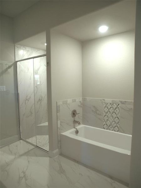 Bathroom with independent shower and bath