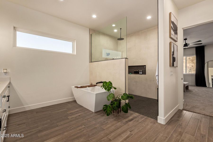 25 - Hummingbird 25 - Hummingbird