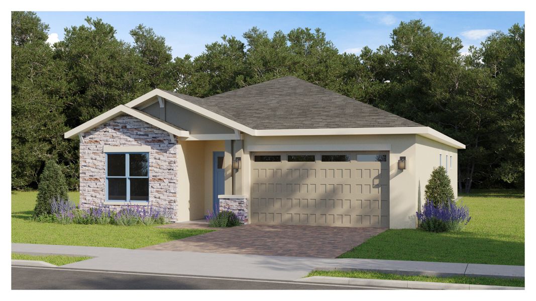 Magnolia C Magnolia C