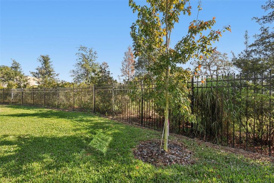 Natural landscape and outdoor views near Villas Del Lago in Lutz (Image 57).