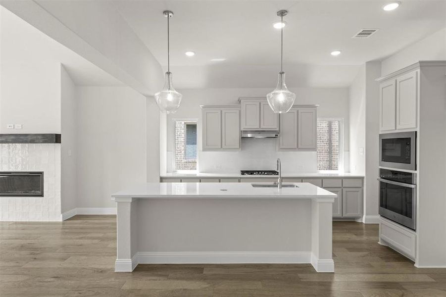 05_Grapevine II_Representative Photo