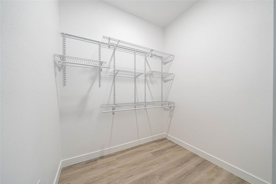 Walk in closet featuring light wood-style flooring