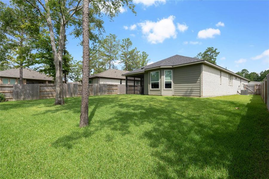 Mature trees and lush lawn