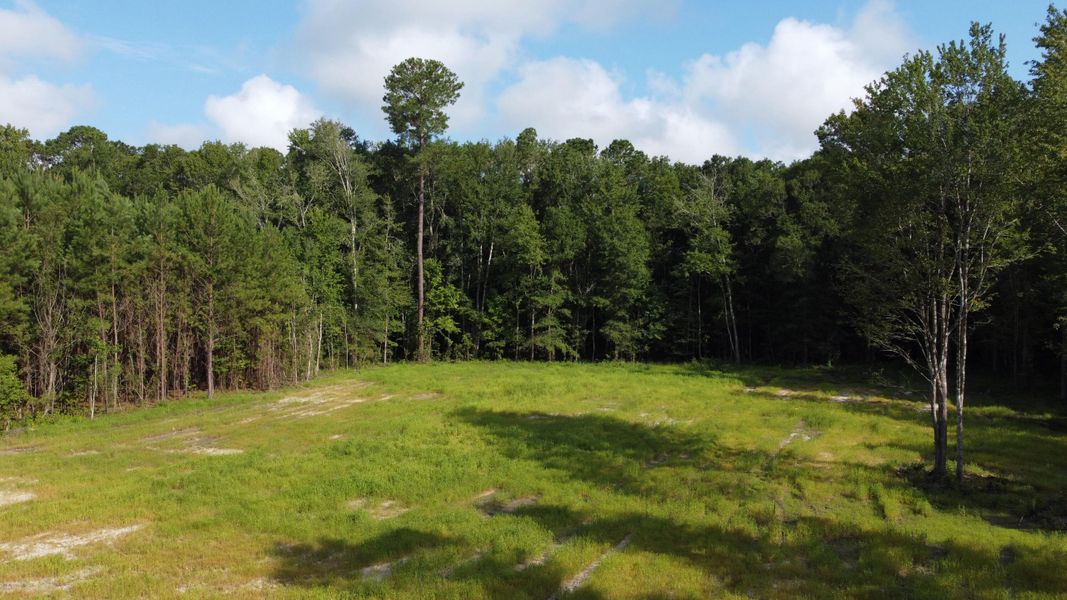 Natural landscape and outdoor views near  in Cross (Image 22).