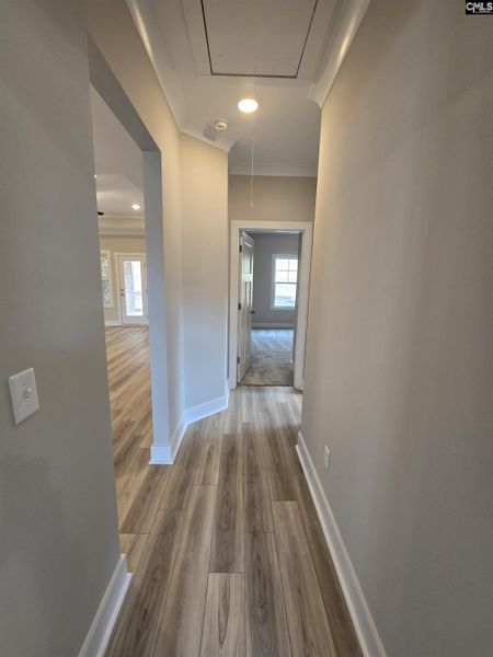 Spacious, unfurnished interior of a new home in Collins Cove, Chapin (Image 35). Spacious, unfurnished interior of a new home in Collins Cove, Chapin (Image 35).