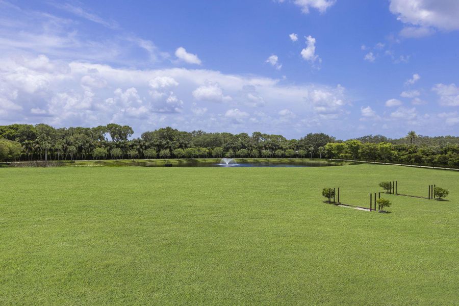 Natural landscape and outdoor views near in Wellington (Image 111). Natural landscape and outdoor views near in Wellington (Image 111).