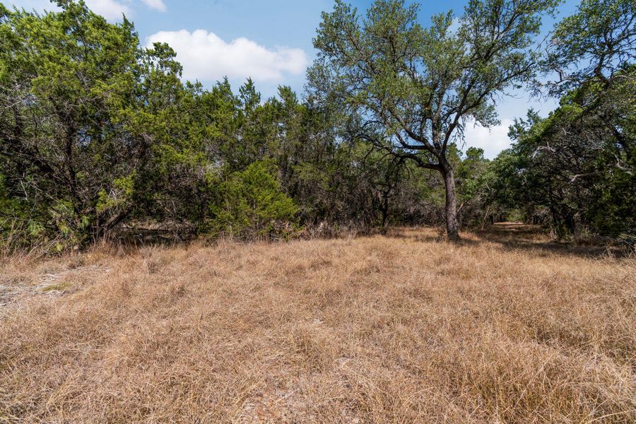 Natural landscape and outdoor views near  in Wimberley (Image 24).