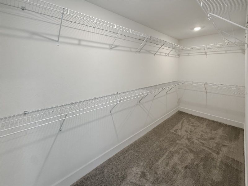 Spacious, unfurnished interior of a new home in Arbor Park, Leesburg (Image 18).