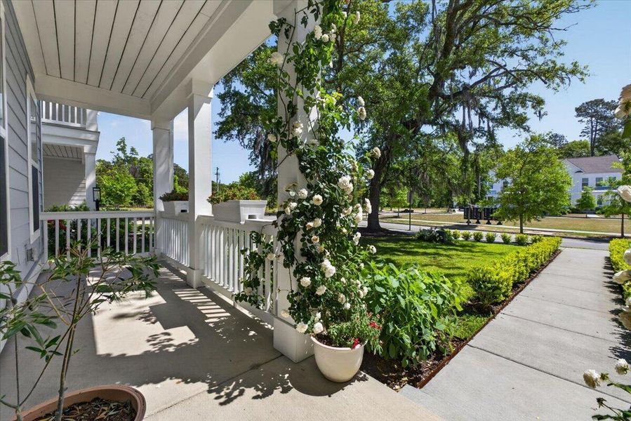 Exterior details and patio area of a home in Oak Bluff, Charleston (Image 34).