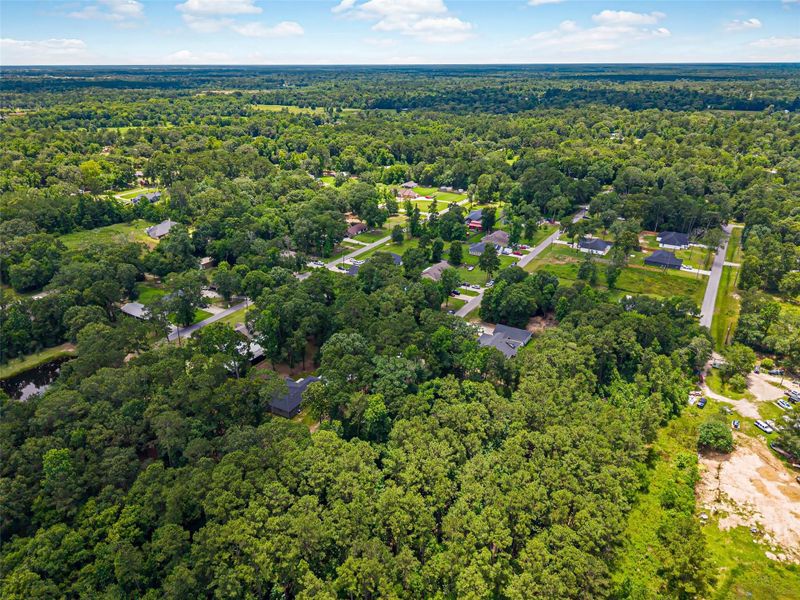 Natural landscape and outdoor views near  in Splendora (Image 41).