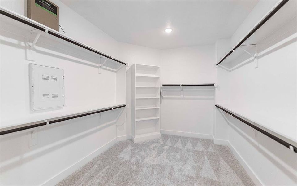 Walk-in closet featuring light grey patterned carpet, white walls, and built-in shelving