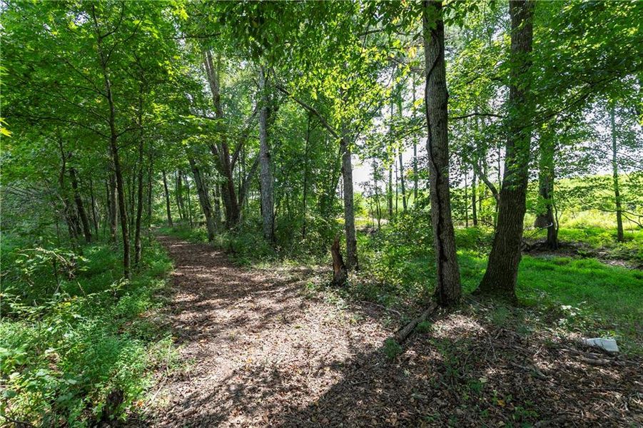 Natural landscape and outdoor views near  in Lawrenceville (Image 30).