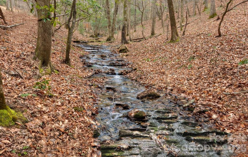 Natural landscape and outdoor views near  in Murphy (Image 31).