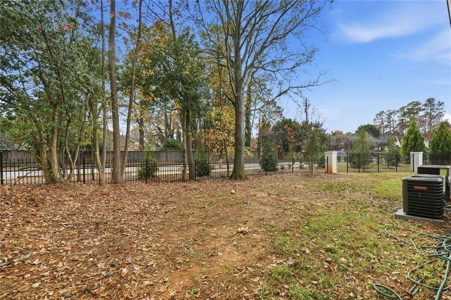 Natural landscape and outdoor views near  in Alpharetta (Image 38).