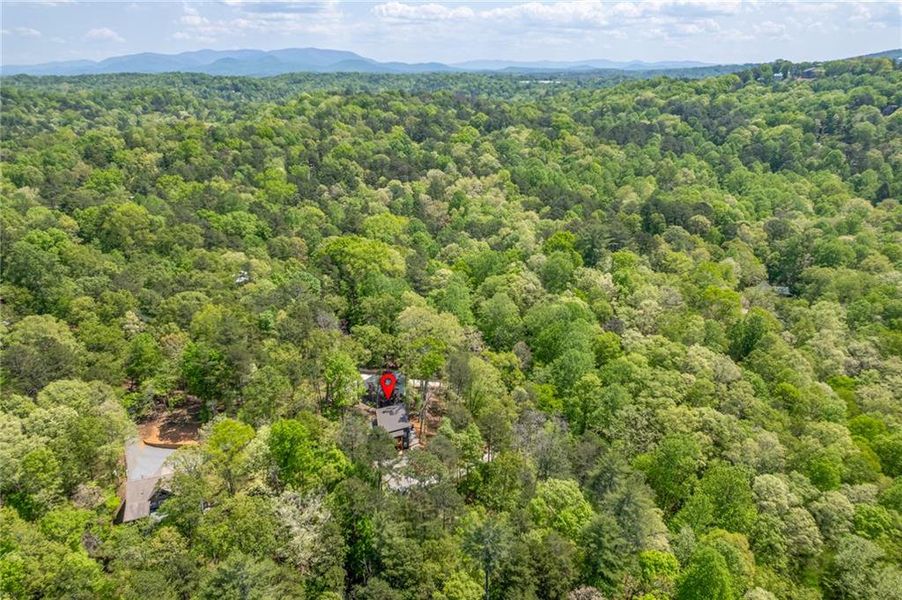 Natural landscape and outdoor views near  in Ellijay (Image 28).