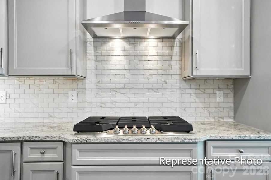Close-up of interior finishes inside a home in Heritage - 55+ Community, Wesley Chapel (Image 12).