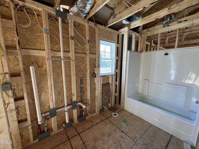 IMG_6332 2 IMG_6332 2