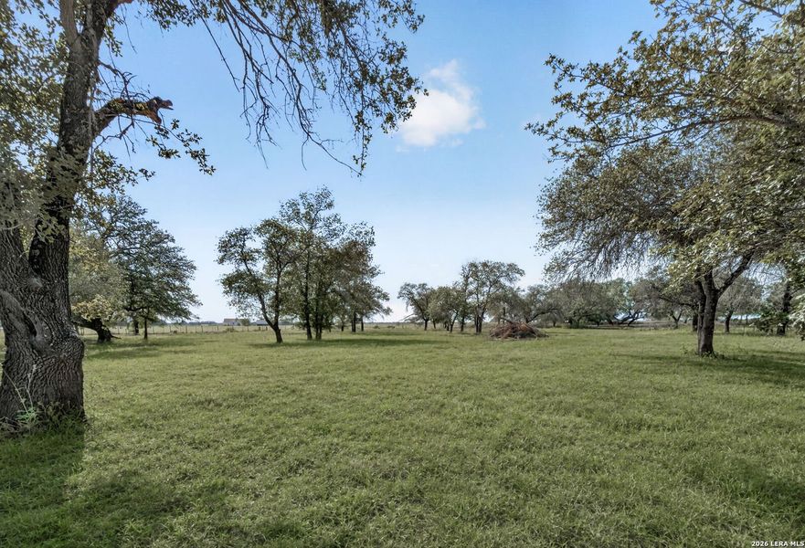 Natural landscape and outdoor views near  in Natalia (Image 36).