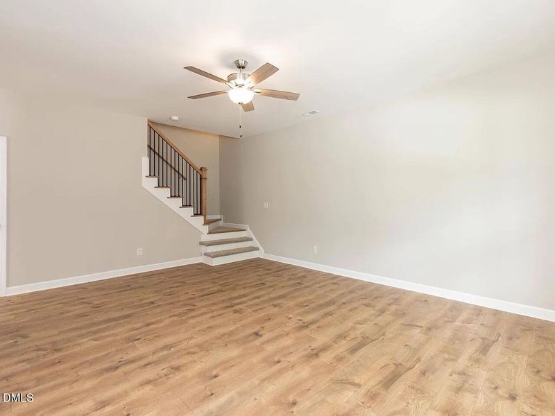 IMG_4125 Large IMG_4125 Large