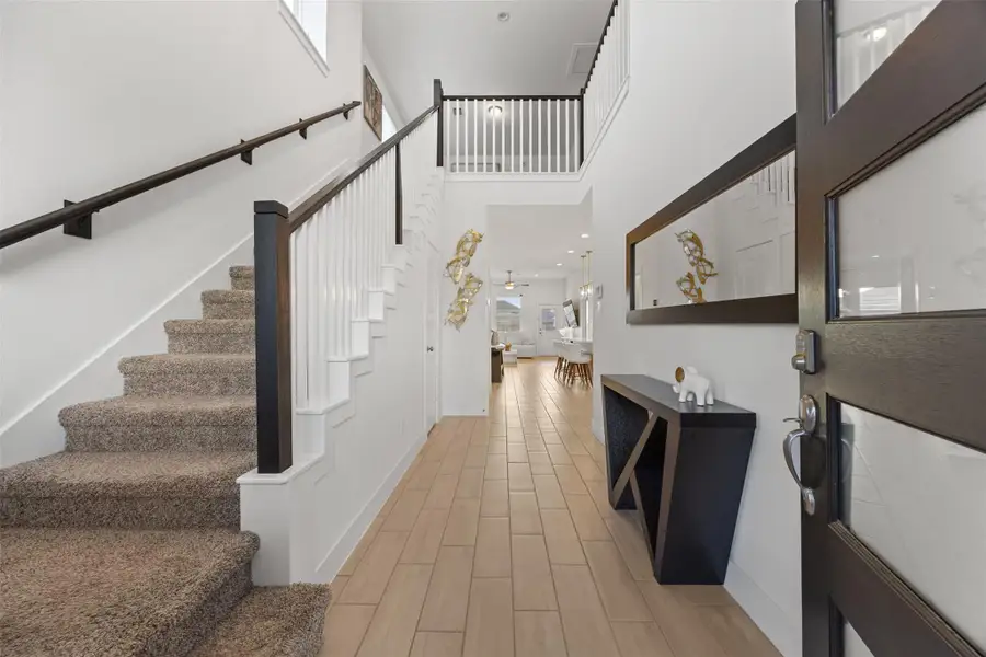 Bright Colors, Light all over.