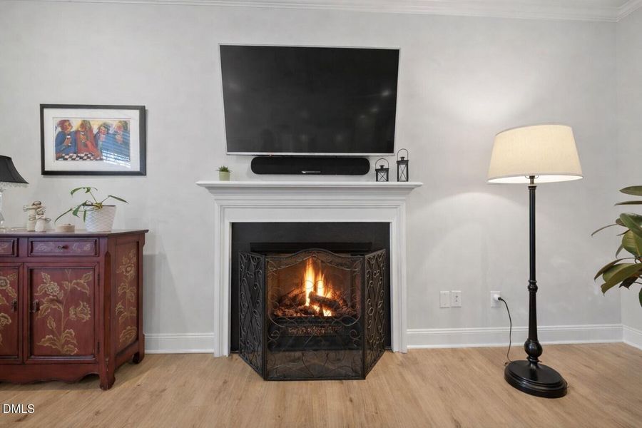 Gas log Fireplace