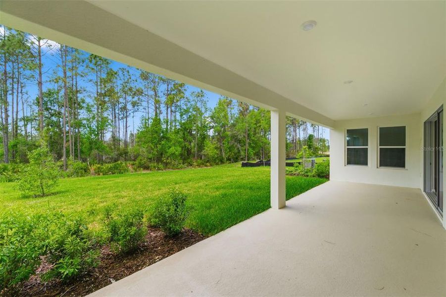 Exterior details and patio area of a home in Hammock at Two Rivers, Zephyrhills (Image 33).