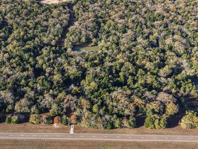 Natural landscape and outdoor views near  in Teague (Image 17).