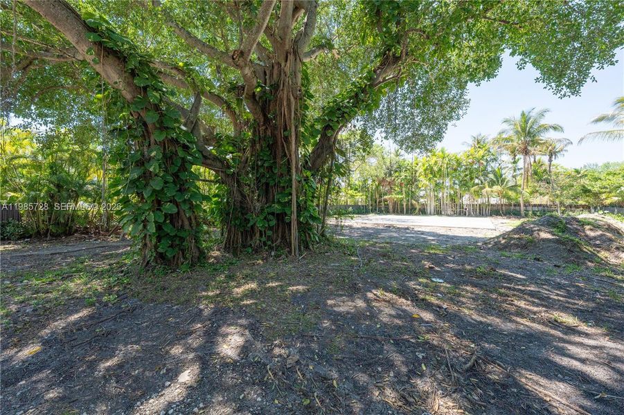 Natural landscape and outdoor views near  in Miami (Image 19).