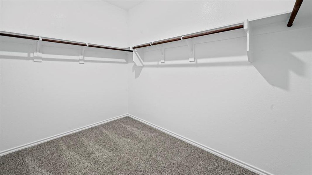 Walk in closet with dark colored carpet