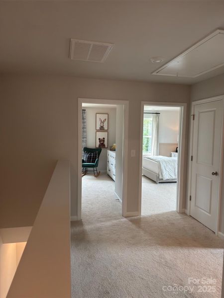 *Representative Photo*