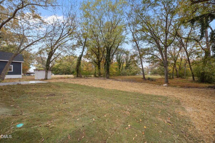 41-web-or-mls-IMG_9406 41-web-or-mls-IMG_9406