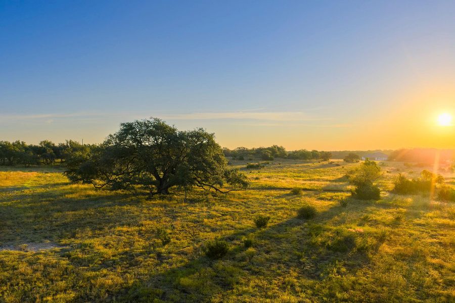 Nature at dusk with a view of rural / pastoral area Nature at dusk with a view of rural / pastoral area