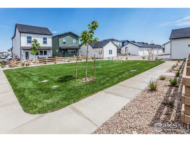 SHARED COURTYARD SPACE