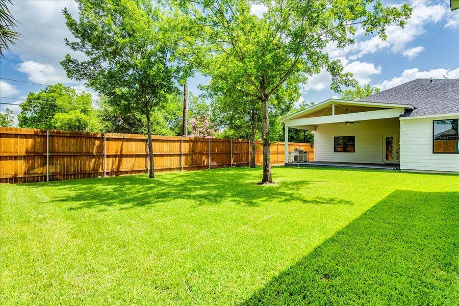 Large fenced yard Large fenced yard