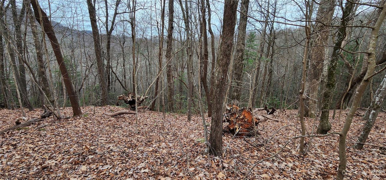 Image 21 of a home in .