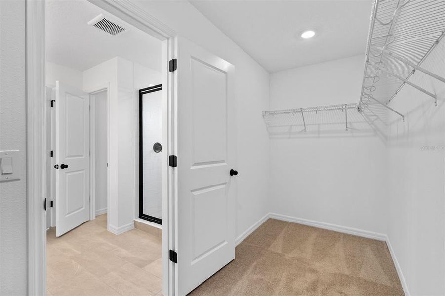 Spacious, unfurnished interior of a new home in Ellington Classical, St. Cloud (Image 17).