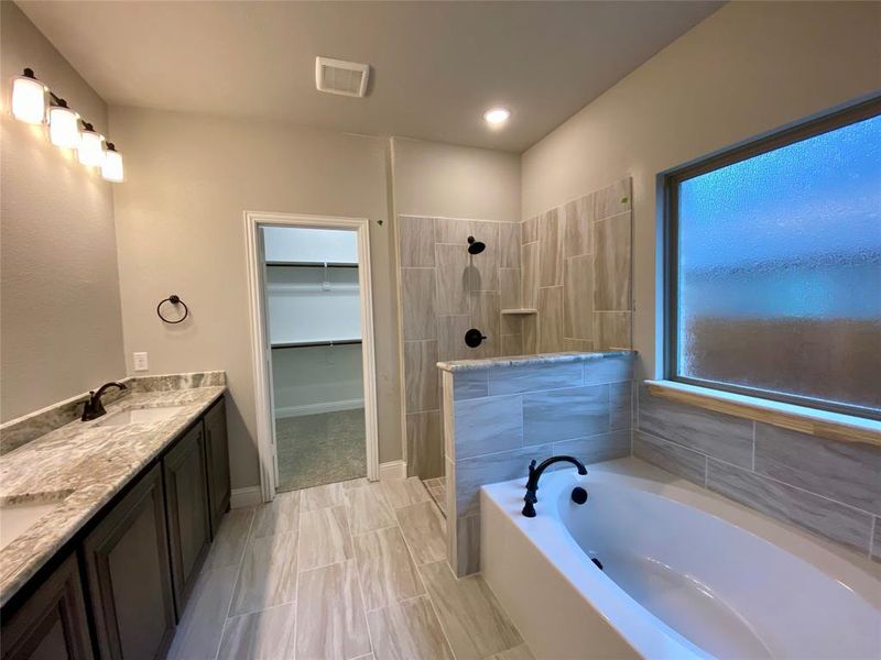 Large master bath has granite counters, slate cabinets, and 12x24 tile.