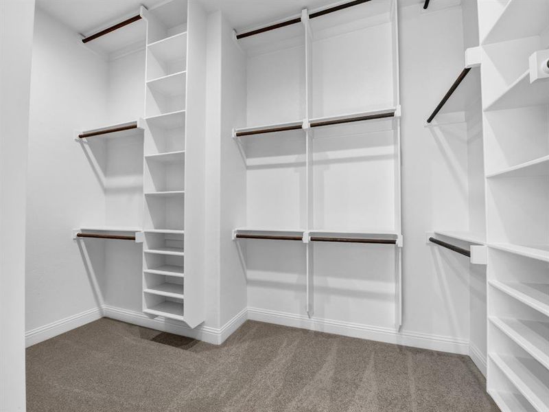 Spacious closet featuring carpet