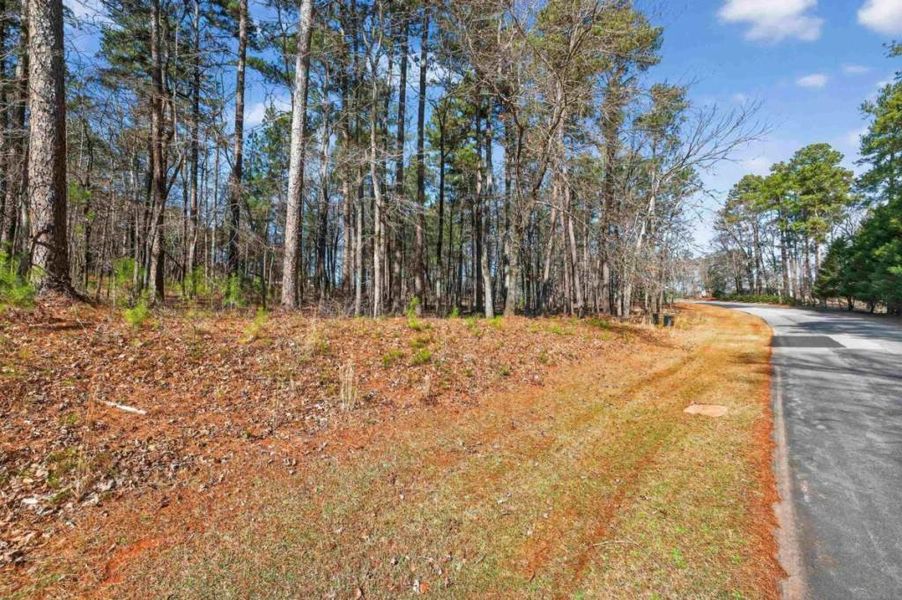 Natural landscape and outdoor views near  in Greensboro (Image 9).