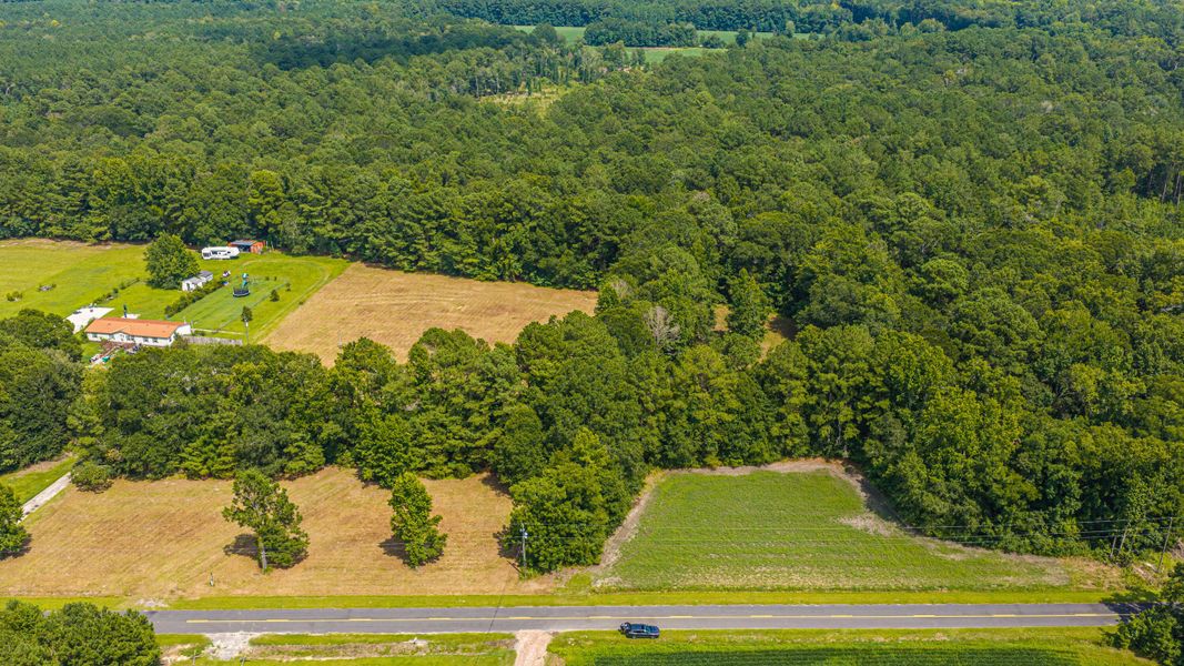 Natural landscape and outdoor views near  in Holly Hill (Image 50).