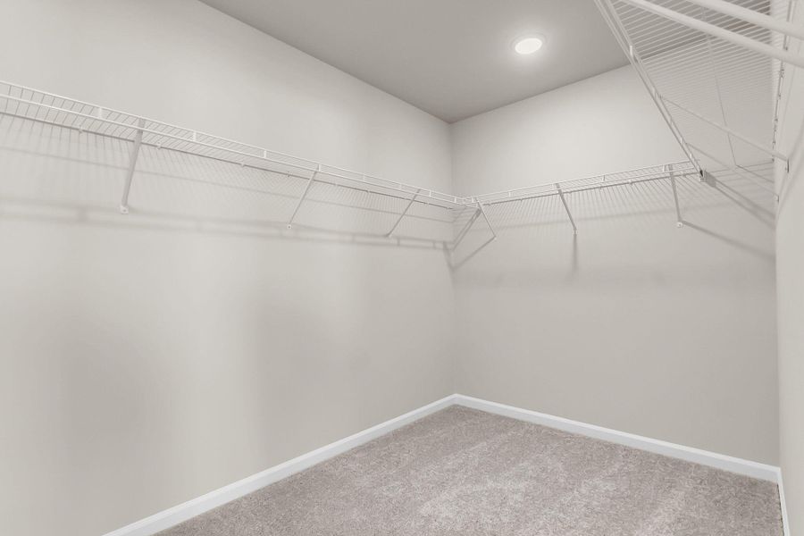 Spacious, unfurnished interior of a new home in Tea Farm, Ravenel (Image 37).