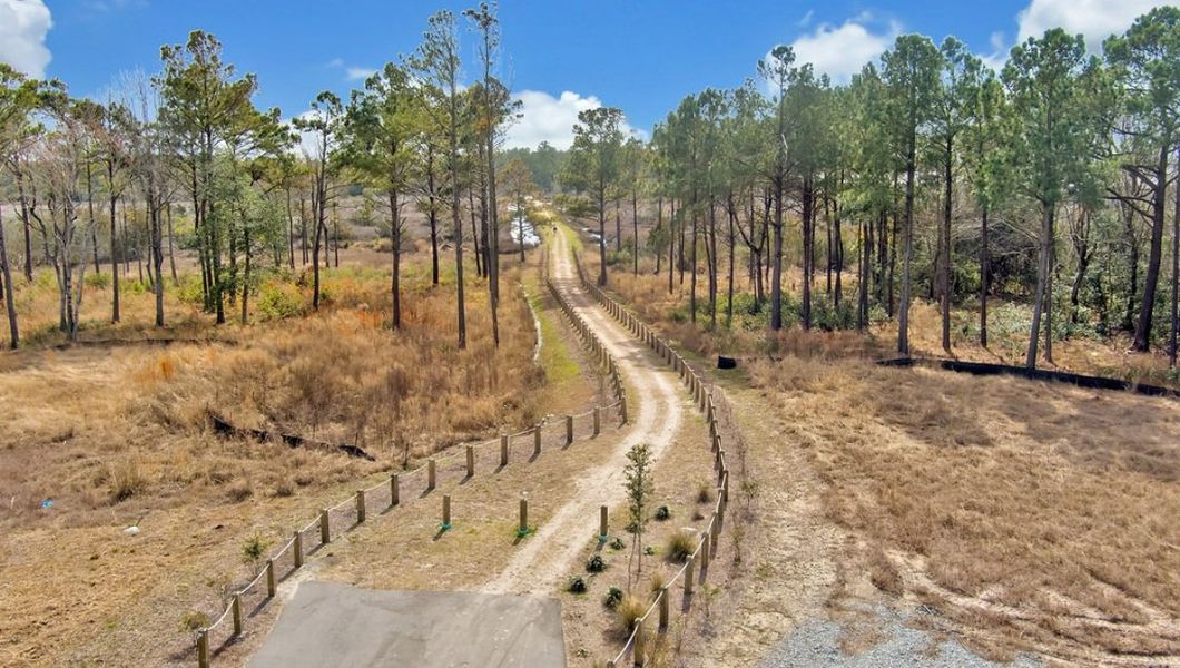 Outdoor and nature views near homes built from the FORRESTER by D.R. Horton in The Preserve at Tidewater, Sneads Ferry (Image 45).