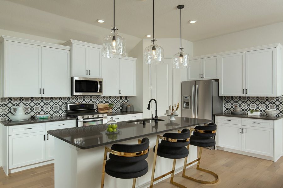 Forest Hill New Home in Mesquite, TX.  - Slide 9