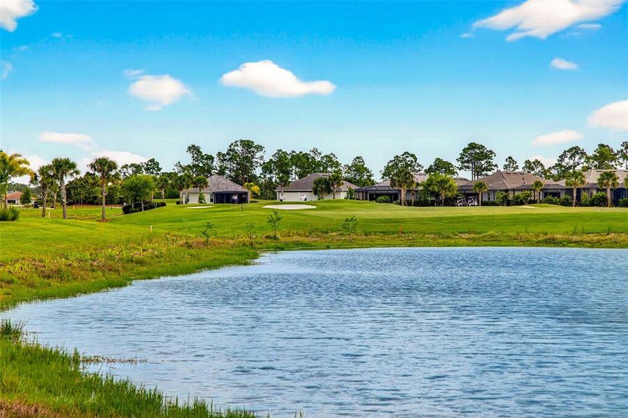 Natural landscape and outdoor views near  in Punta Gorda (Image 39).